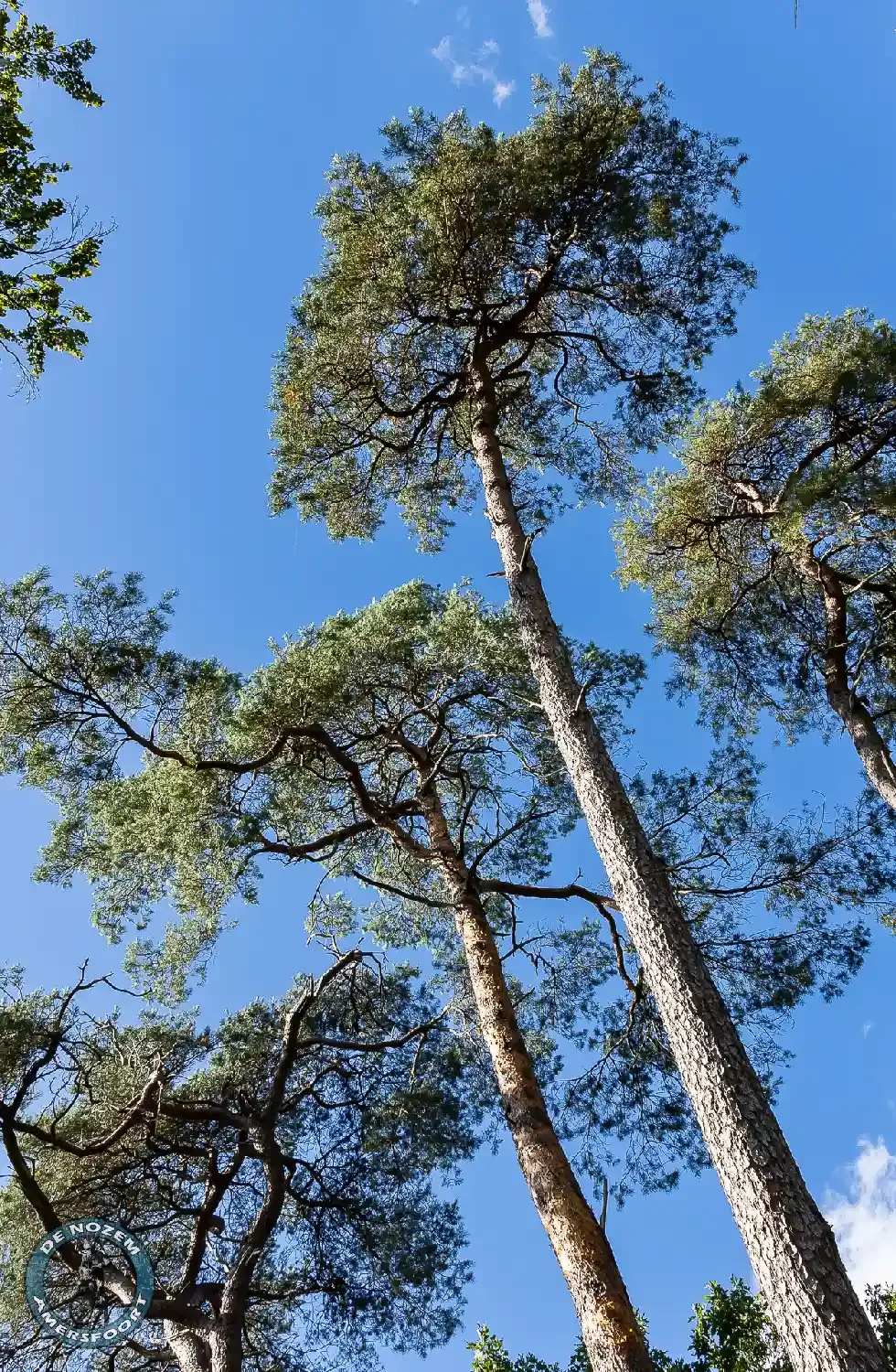 Leusderkwartier Amerfoort