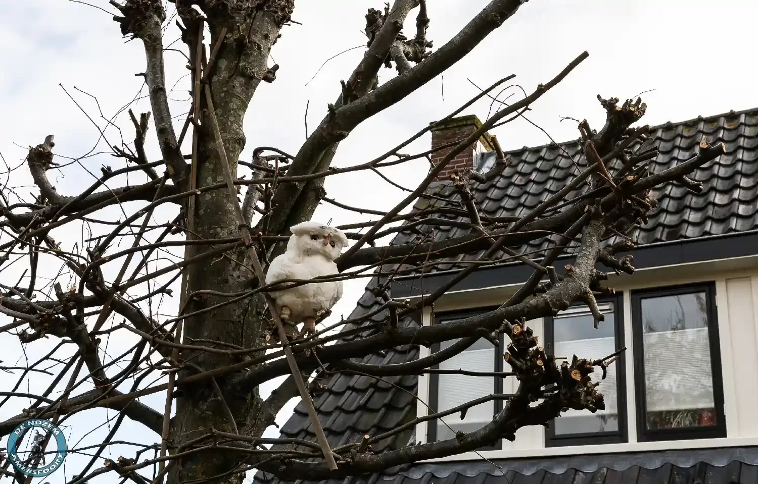 Leusderkwartier in Beeld