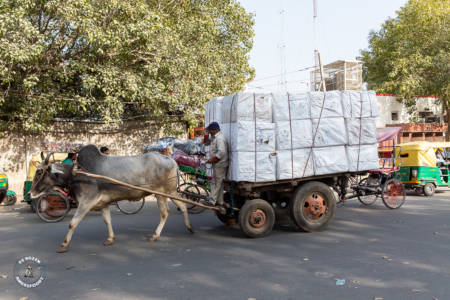 India, traveling is remembering