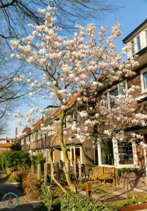 Leusderkwartier in Beeld