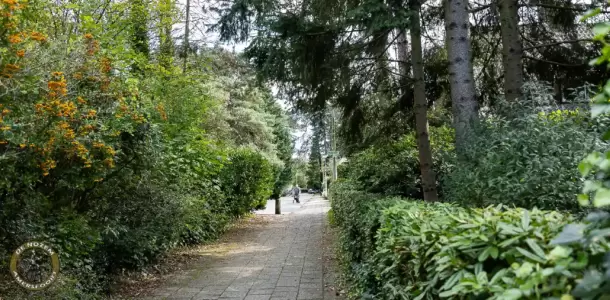 Leusderkwartier in Beeld