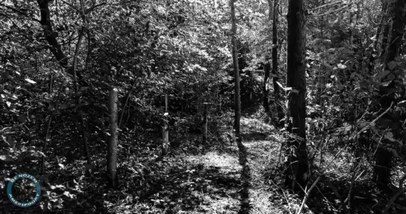 Leusderkwartier Amerfoort