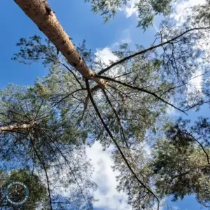 Leusderkwartier in Beeld