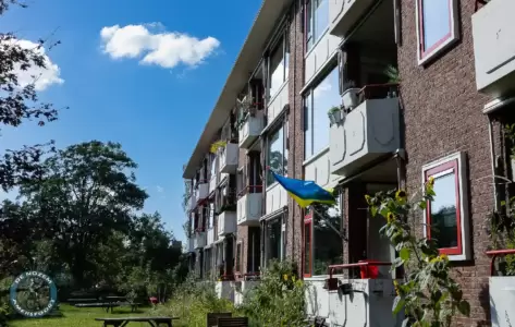 Leusderkwartier in Beeld