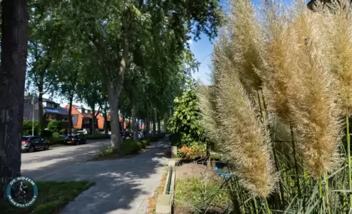 Leusderkwartier in Beeld