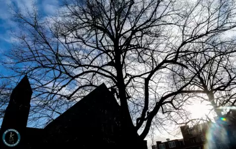 Leusderkwartier in Beeld