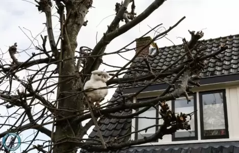 Leusderkwartier in Beeld