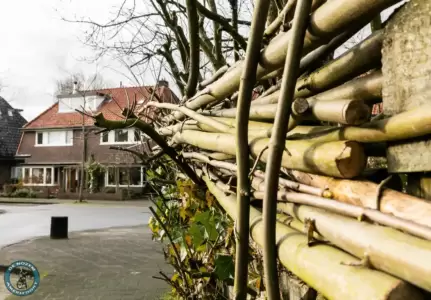 Leusderkwartier Amerfoort