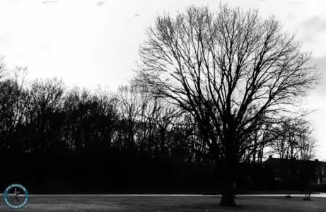 Leusderkwartier in Beeld